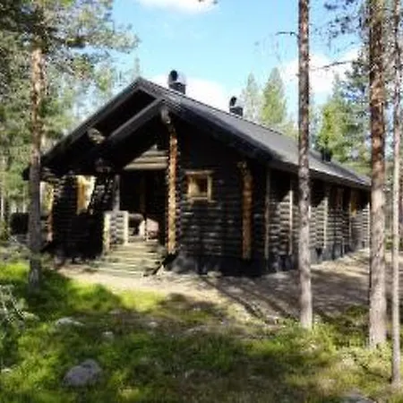 Holiday Jarvituikku A2